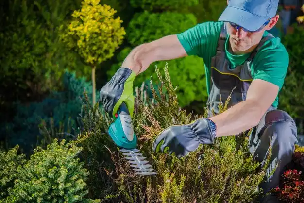 landscaping services Perrysville